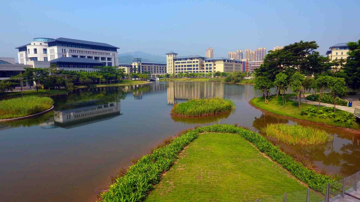 s11中外合作研究生需要大学成绩单吗？